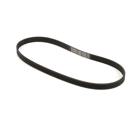 Univex Belt, 260J6 7510153